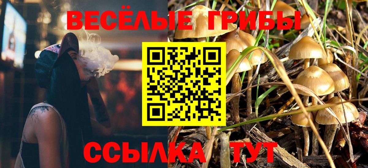 Псилоцибиновые грибы Psilocybine cubensis Заволжье